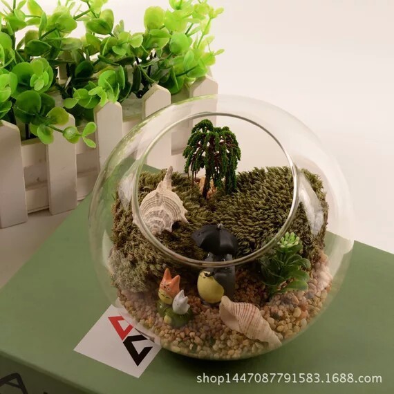 High borosilicate glass handicraft moss micro landscape plant ecological bottle green plant potted succulent plant transparent vase