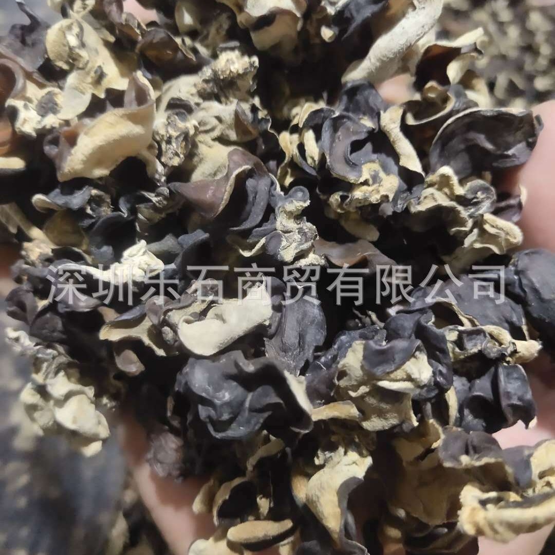 Free shipping 50g black fungus group purchase gift dry goods agricultural products White back fungus autumn fungus store New