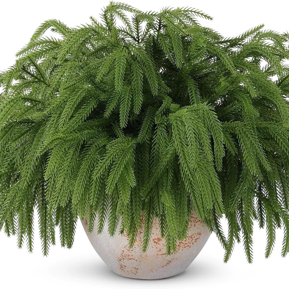 Soft Glue Simulated Nuofuk Pine Needles Single Christmas Ornaments Shooting Props Green Plants Artificial Christmas Hand-rolled Pine Needles