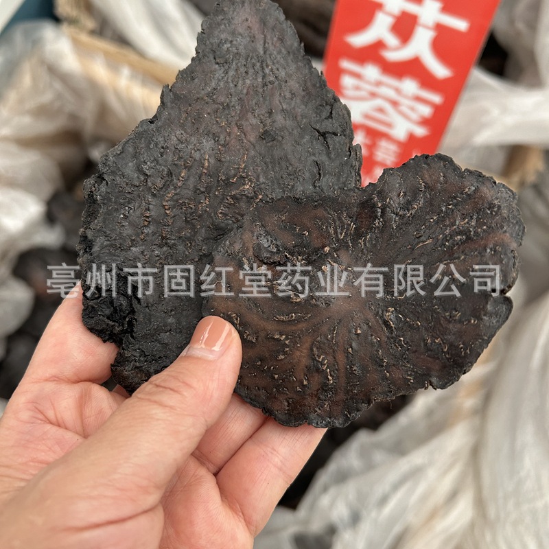 Inner Mongolia Alxa CistancheDeserticola Xinjiang Soft Deserticola Cynomorium Cynomorium                                       C