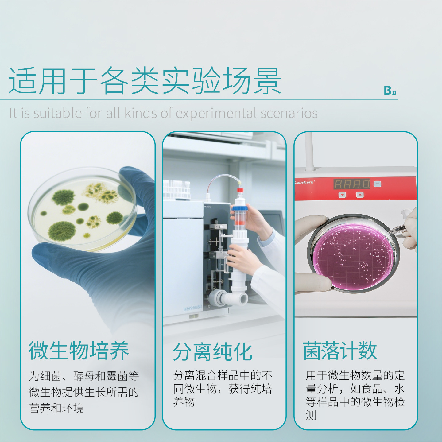 Beekman Bio-Nutrient Agar Plate Blood Agar lb Medium Dish Bhi Bacteria Tcbs Agar Medium