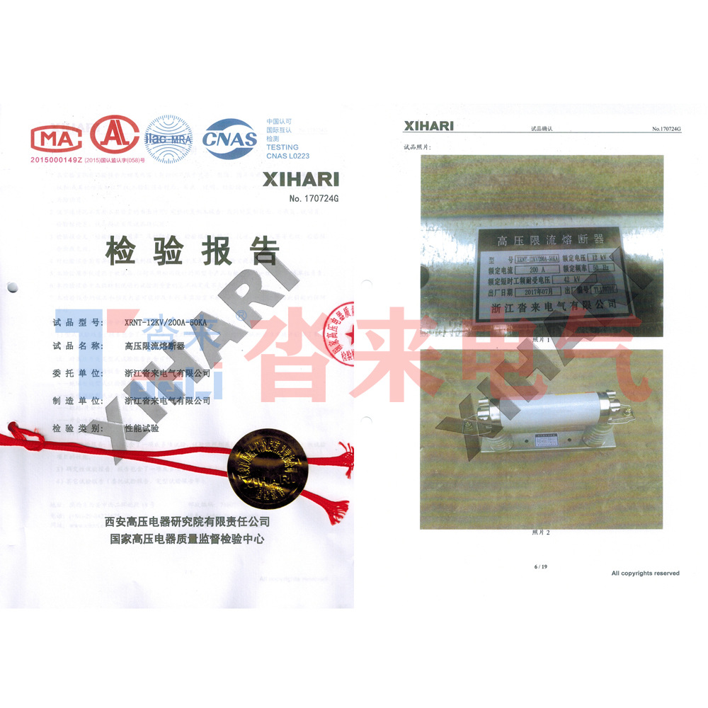 Xrnt10Kv12Kv High Voltage High Breakage Ability Fuse Sdlaj Negative Switch Fuse 10A16A31.5A