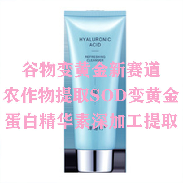 Outsourcing Semi-Finished Products for Processing at Home Is the Golden Lane for Deep Processing of Plant Protein Peptides Extracted from Corn