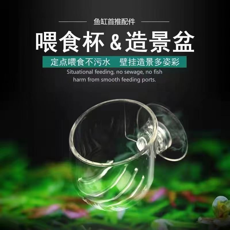 Red worm feeder feeding ring fish tank red worm cup high transparent blood worm feeding cup fish tank landscaping cup