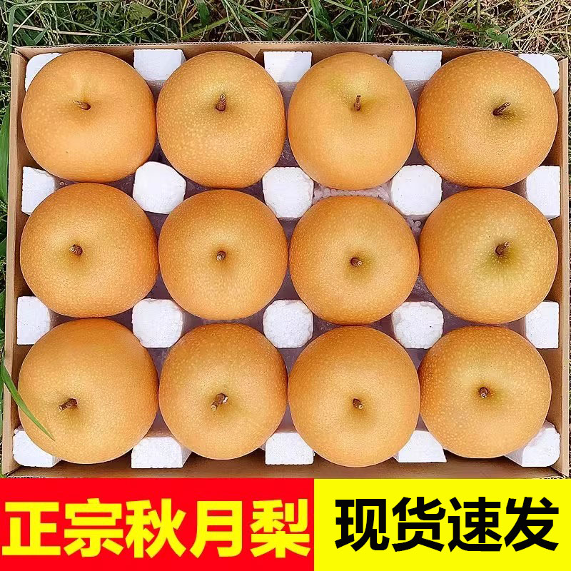 Настоящие груши Рок Канди из Шаньдуна Лайян, свежие сладкие сезонные фрукты, целая коробка