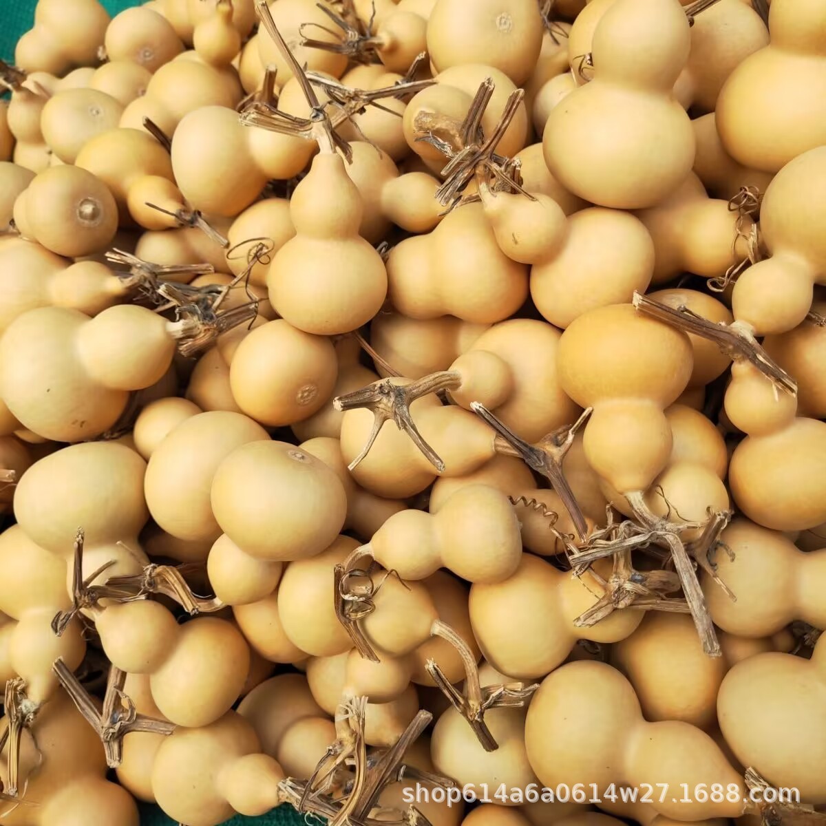 Натуральная тыква, оптовая продажа тыквенных ремесел