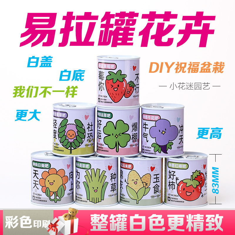 Подарок для детей, слепая коробка для растений, настольные маленькие горшечные цветы и зеленые растения, легкие в уходе семена для горшечных растений