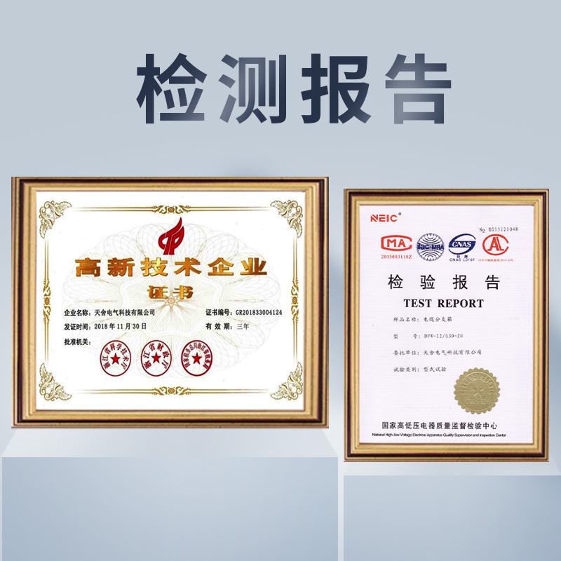 10Kv High Voltage European Cable Branch Box Dfw-12/630 Outdoor Stainless Steel One in Two Three Four Out Tap Box