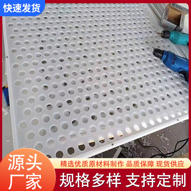 Pe White Plastic Board Pp Pvc Board Punching Plastic Flower Stand Pad Filter Poly Plastic Board Mesh Processing