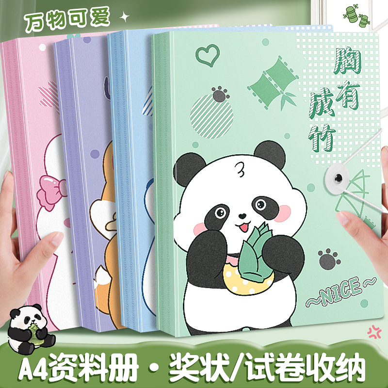 A4 информационный буклет прозрачная папка для документов папка для хранения тестовых работ студентов книга для коллекции информации оптом