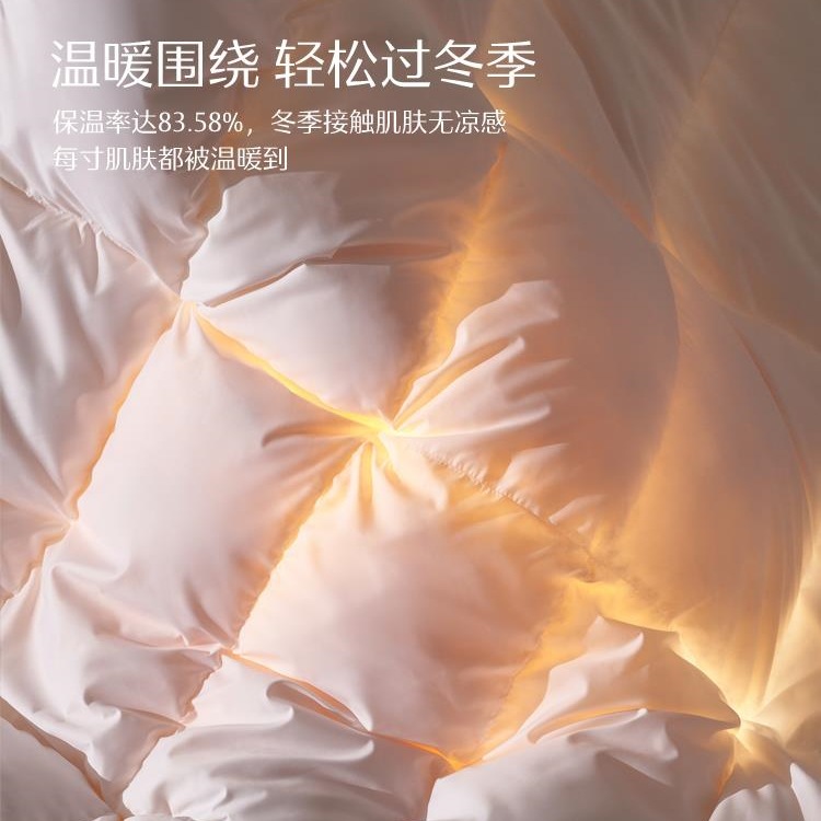 Home Textile Class a Summer Quilt 90% White down Quilt Core Thickened Warm Quilt Autumn and Winter Home Bedding