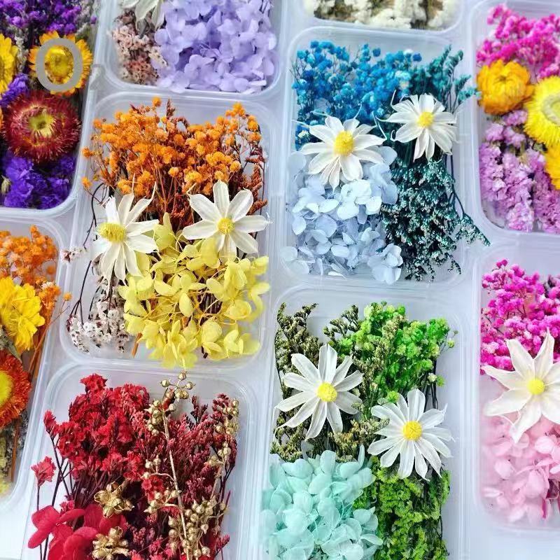 Mother's Day 520 Eternal Flower DIY Material Package Lunch Box Handmade Dried Flower Fan Photo Frame Creative Handmade Yunnan Wholesale