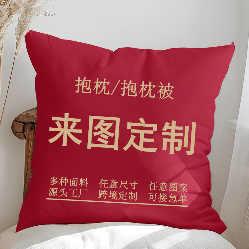 Pillow Custom logo Amazon Pillow Sofa Cushion Short Plush Pillowcase Multifunctional Dual-purpose Pillow Quilt