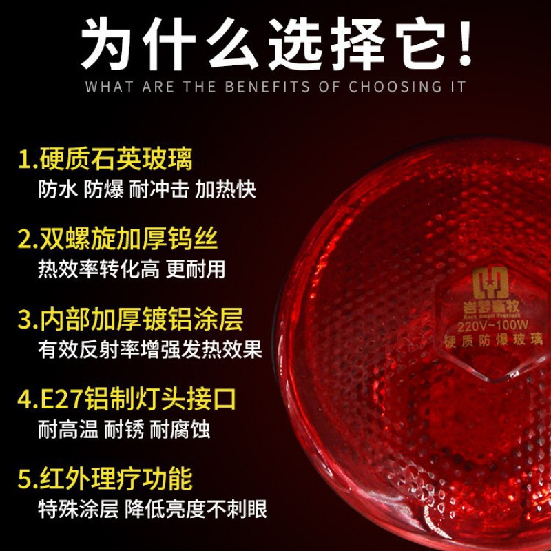 Insulation Lamp for Pigs, Duck House, Chicken Farm, Chick Brooding, Heating, Piglet Heating, Bulb, Special for Breeding