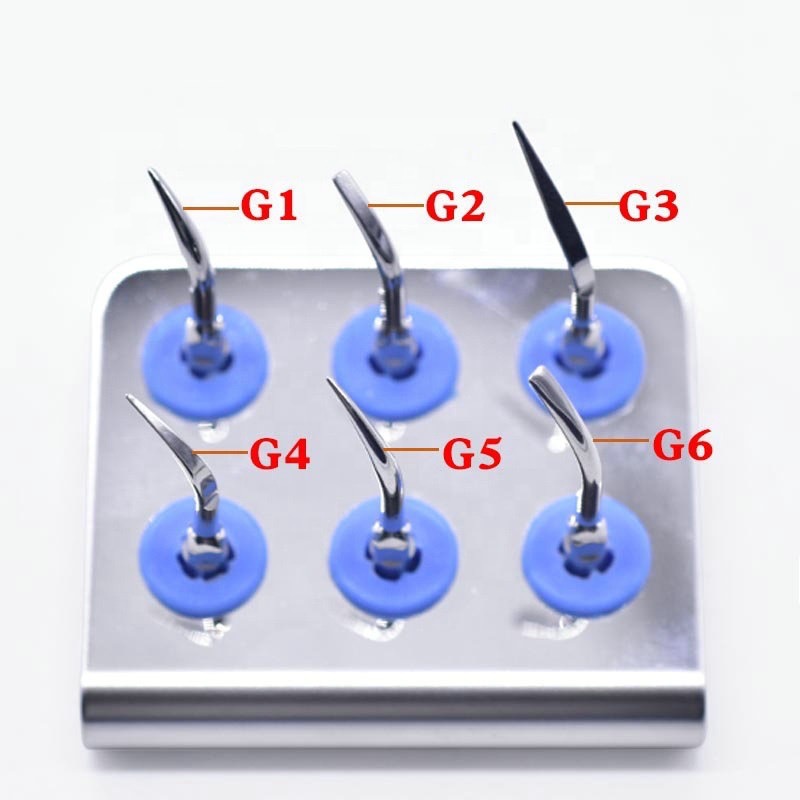 Dental Scaler Working Tip Stainless Steel g P E Series Compatible with Dte Setli Nsk Dental Ultrasound Tip Cross-Border