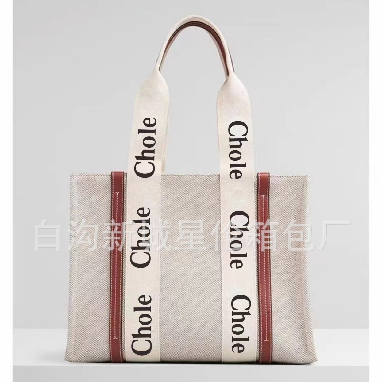 Xiaohongshu 2023 New Tote Bag Canvas Bag Satchel Shoulder Crossbody Bag Large Capacity Commuter Beach Bag for Women