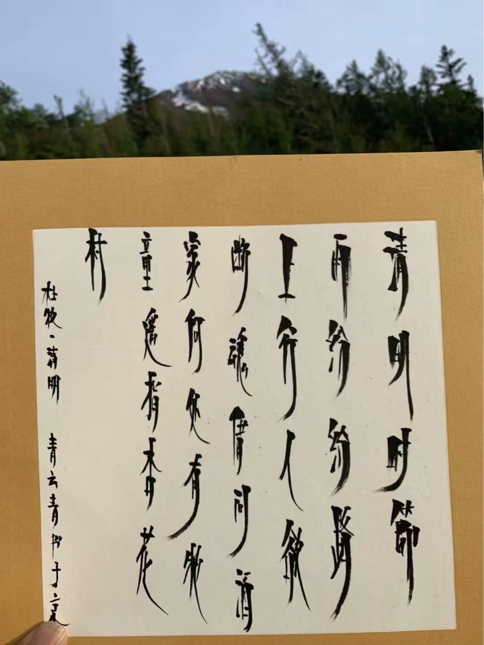 Записная книжка по дизайну волос