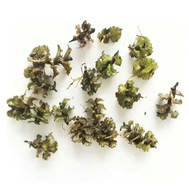 Aquatic Plant Seeds, Aquatic Grass, Water Plants for Planting, Stone Sprouts, Water Quality Purification, River Greening, Aquatic Plants, Aquatic Plant Seeds