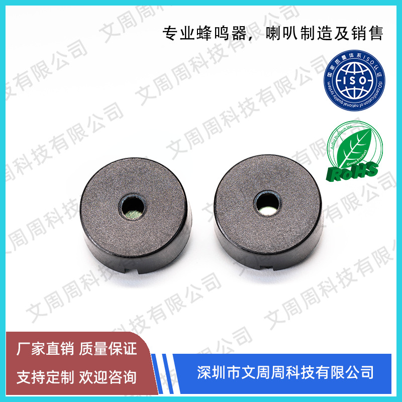 Piezoelectric Buzzer Environmentally Friendly 1707 10.0 Pin Pitch Electroacoustic Components 17mm Buzzer