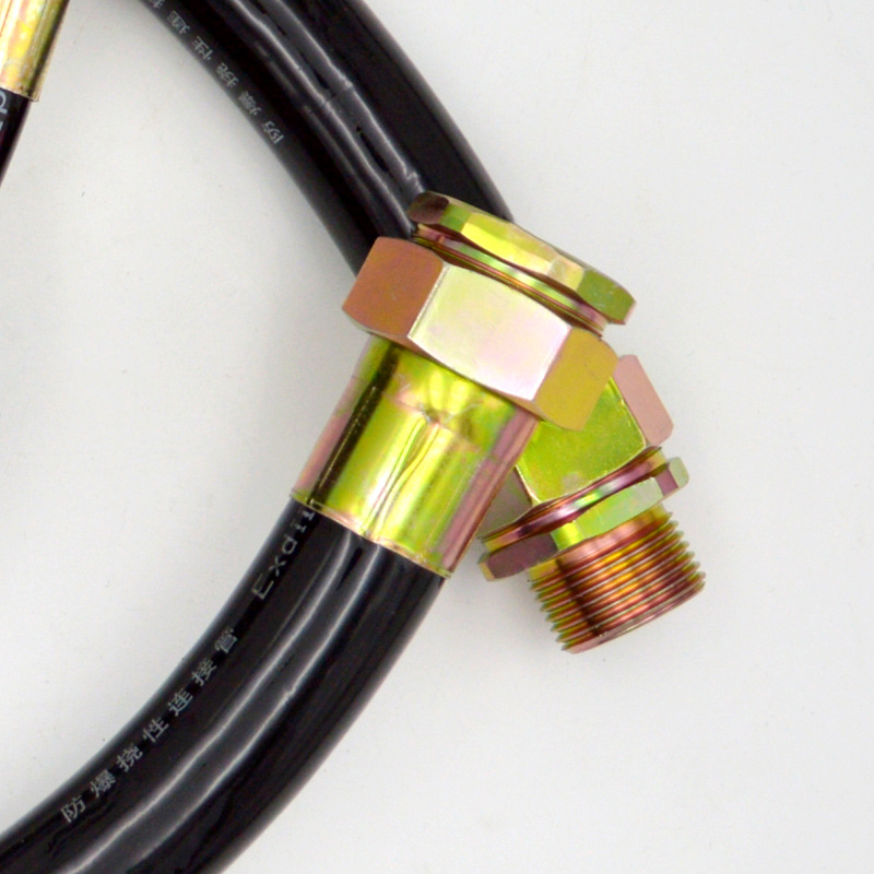 Explosion-Proof Flexible Pipe Bng Metal Connecting Pipe Dn15Dn20 4 Points 6 Points Threading Hose in Stock