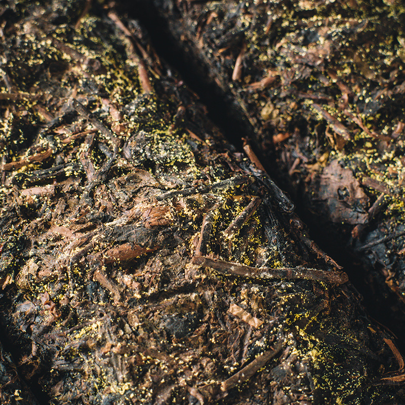 Black tea wholesale black tea Hunan Anhua black tea golden flower Fu brick tea Tianjian Fu brick 1kg old tea