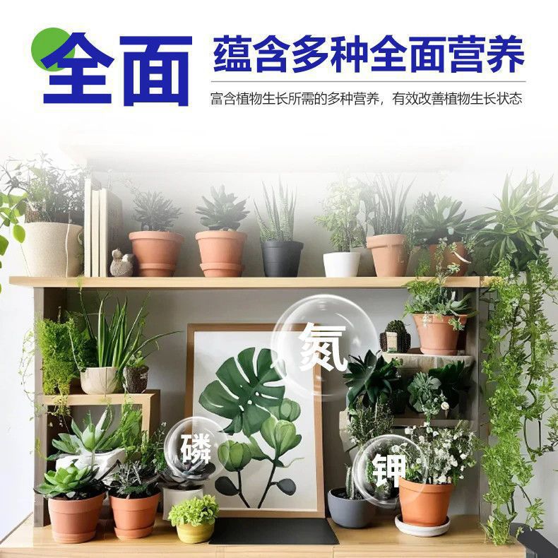 plant regeneration agent universal flower resurrection liquid light rod yellow leaf off leaf auxin enhancing activity to promote growth