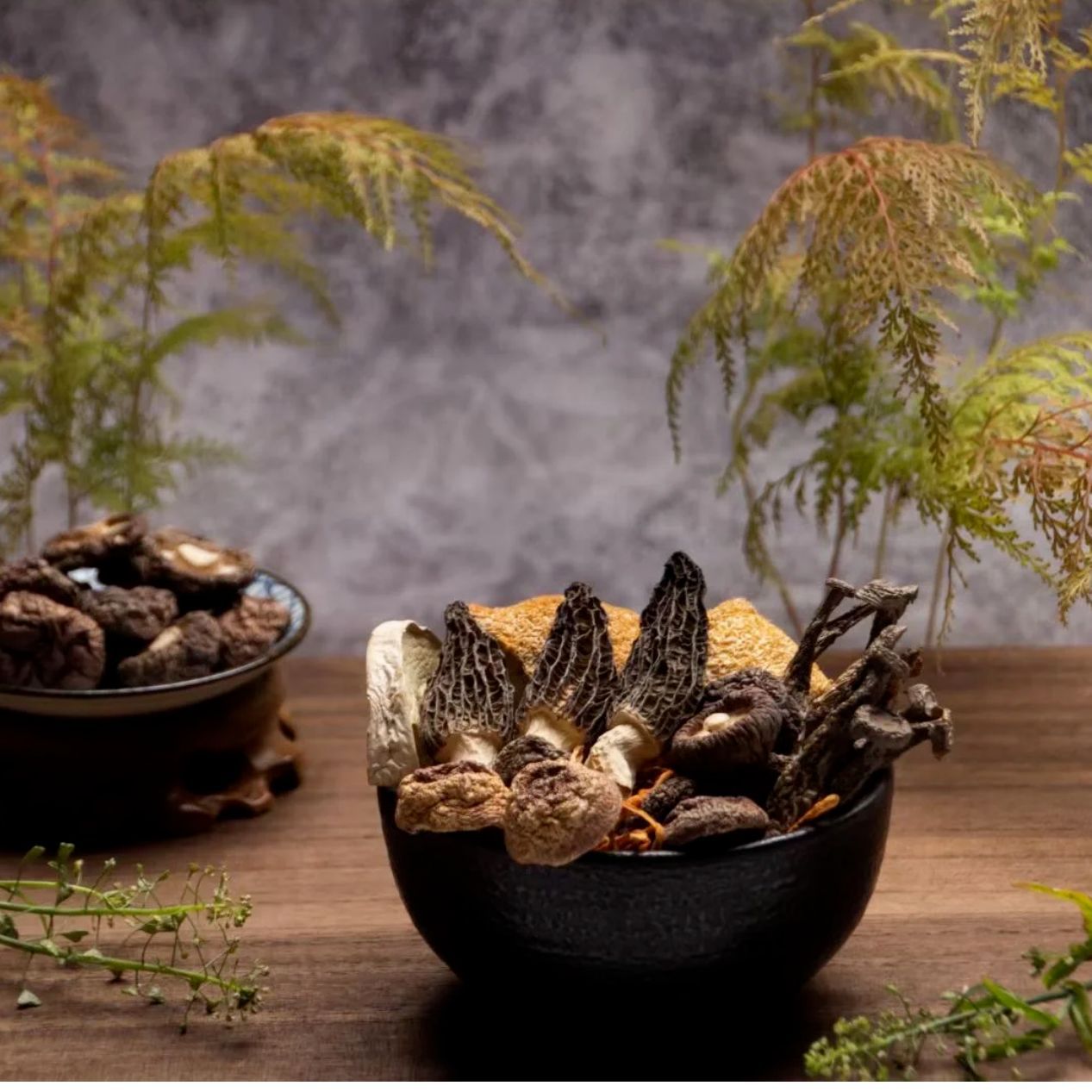 Fujian Ningde Shouning Factory Directly Supplies Wholesale Large Quantities of Alpine Morels 100g Farm Specialty Morels