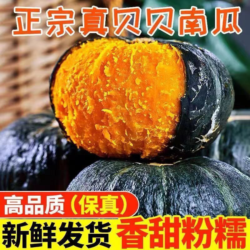 Authentic beibei chestnut pumpkin wholesale pregnant women baby food supplement fresh vegetables whole box wholesale beibei pumpkin