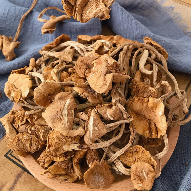 Guojuntang Tea Tree Mushroom Yunnan Dry Goods Wholesale Unopened Umbrella Soup Source Manufacturer Large Volume Price Excellent Spot Can Be Delivered