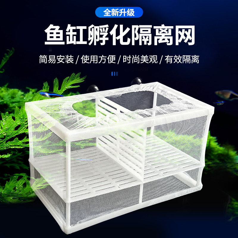 Изоляционная сеть для аквариума, инкубатор для гуппи, защитная коробка для мелкой рыбы