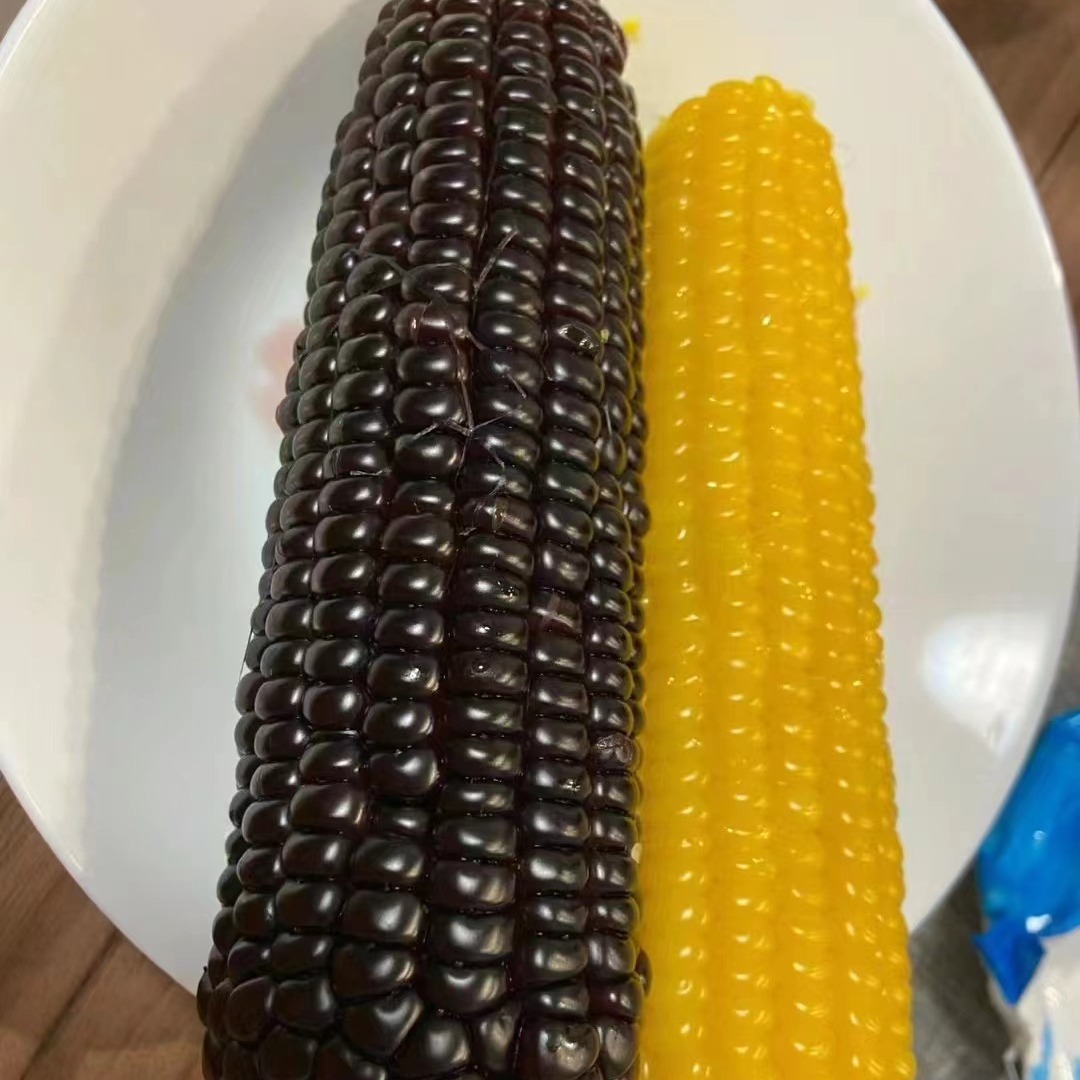 Yimu Yicao Fresh Waxy Corn Yellow Waxy Sticky Sweet Vacuum Packed Fresh Corn Breakfast Substitute Coarse Grains 1.85kg