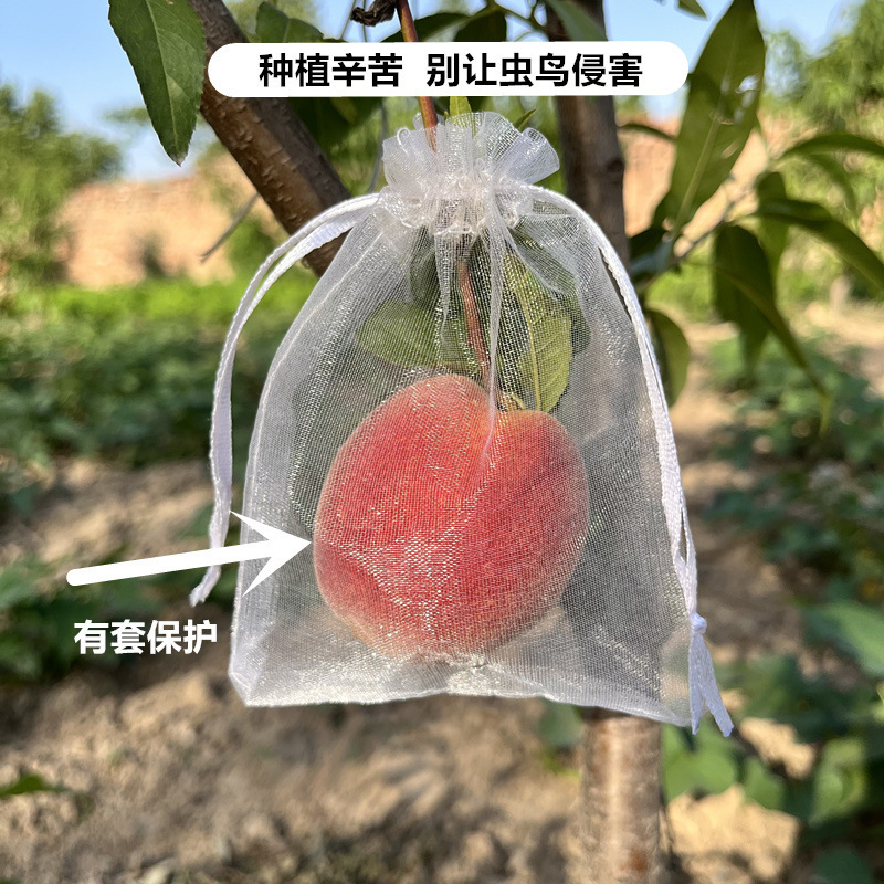 Fruit Bagging, Special Bagging for Grapes, Insect-Proof and Bird-Proof Artifact for Melons and Fruits, Protective Gauze Bag, Fig and Pomegranate Fruit Bag