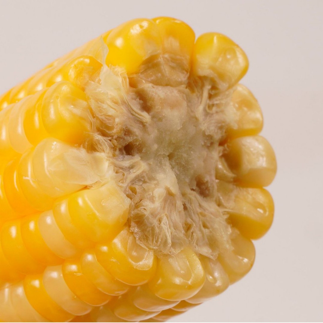 2025 First Crop New Yellow Corn, Waxy Corn, Fresh Corn, Sticky Corn, Northeast Waxy Corn