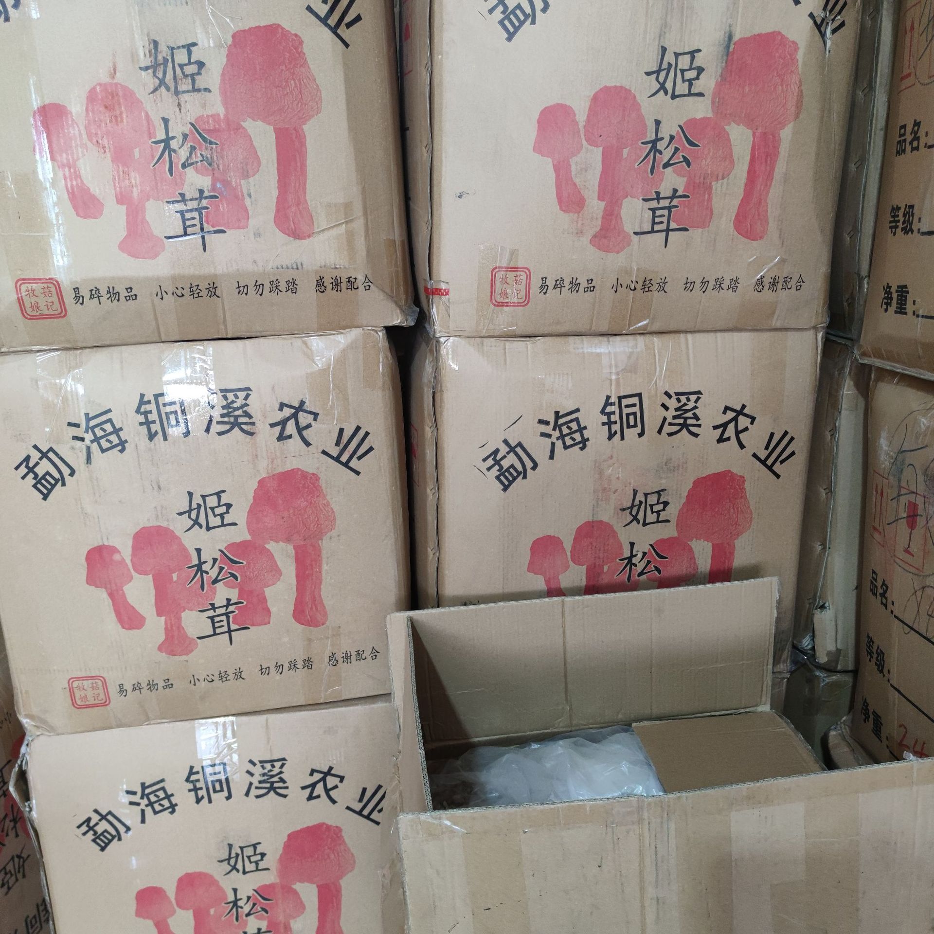 Dried Agaricus Blazei Mushroom, Natural Sulfur-Free Yellow Short-Stemmed Matsutake Mushroom, Edible Mushroom for Soup, Bulk Packaging