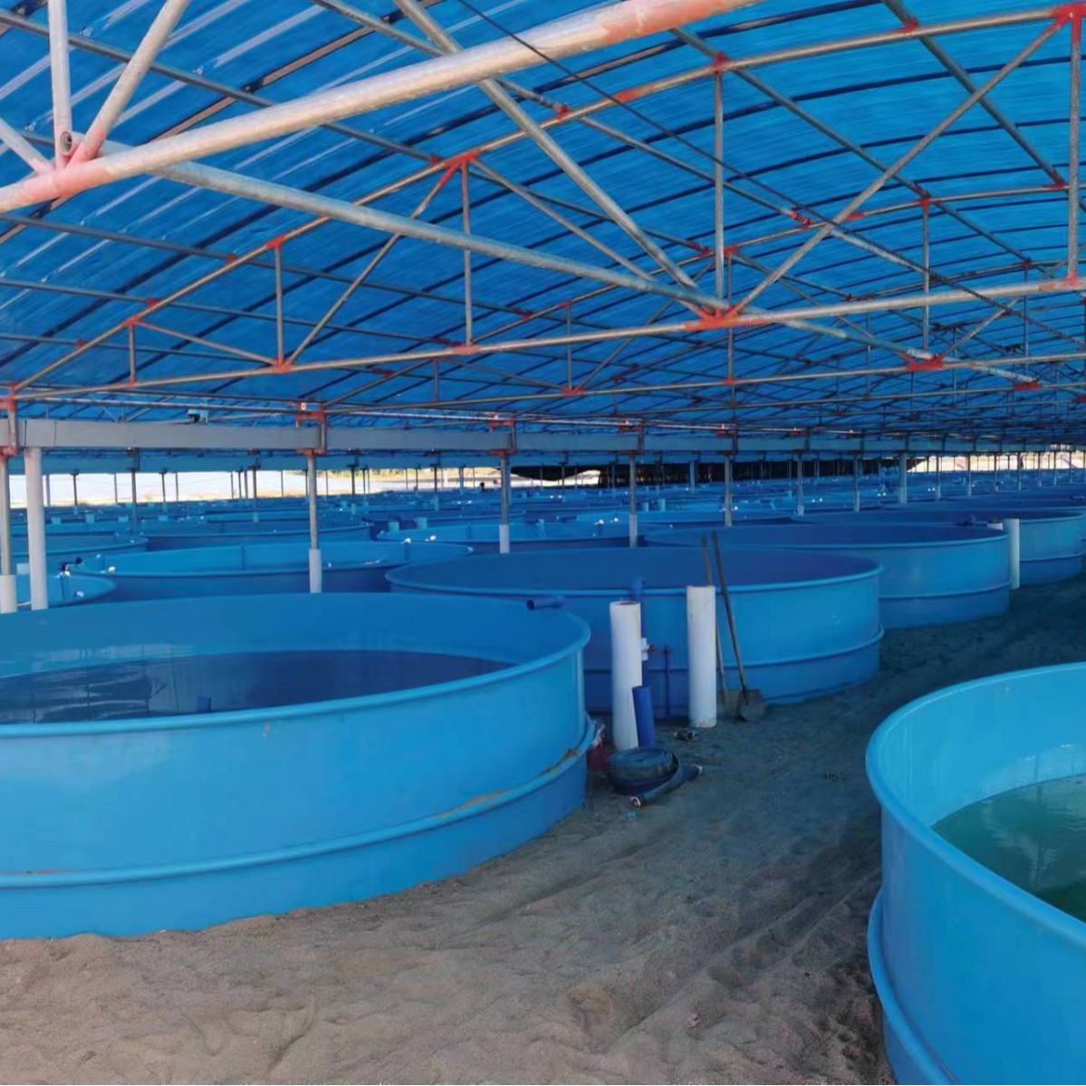 Индивидуальный Pp Pe бассейн для разведения на месте, экологически чистый, нетоксичный, коррозионно-устойчивый и с длительным сроком службы
