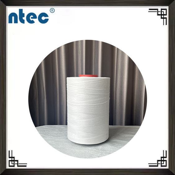 Xintiq Monofilament Large Roll White Pp Crack Film Line 4000D Polypropylene Webbing Silk Rope Egg Collection Belt Ton Bag Belt