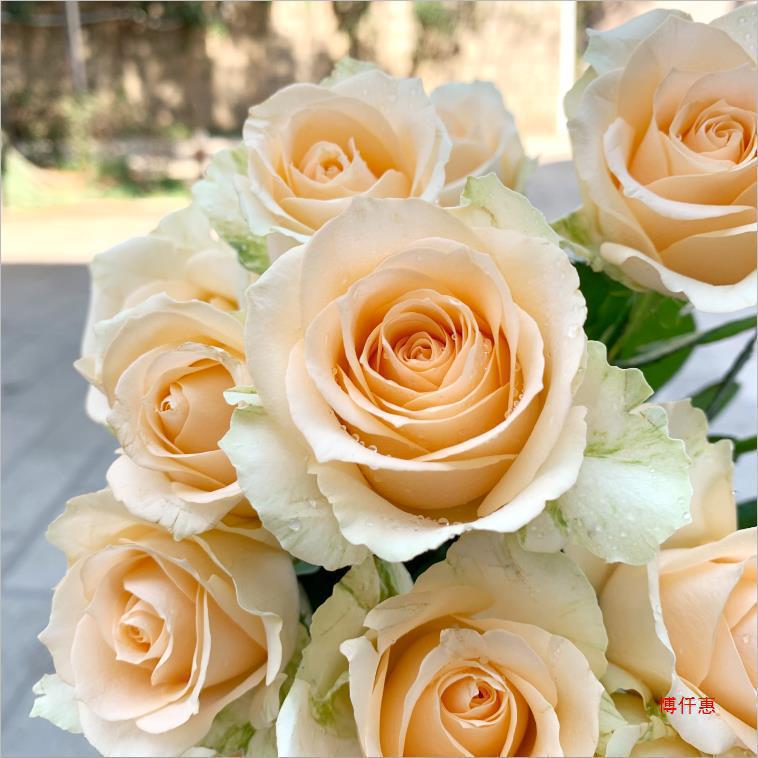Flower Bouquet Direct Delivery from Yunnan Kunming Base, Perfume Lilies Express Delivery in the Same City, Roses 520 Valentine's Day Gift