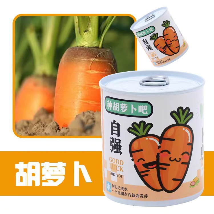 Blessing Plant Small Potted Desktop Flower Green Plant Seed Can Planting Blind Box Can Be Customized as a Kidsren's Gift