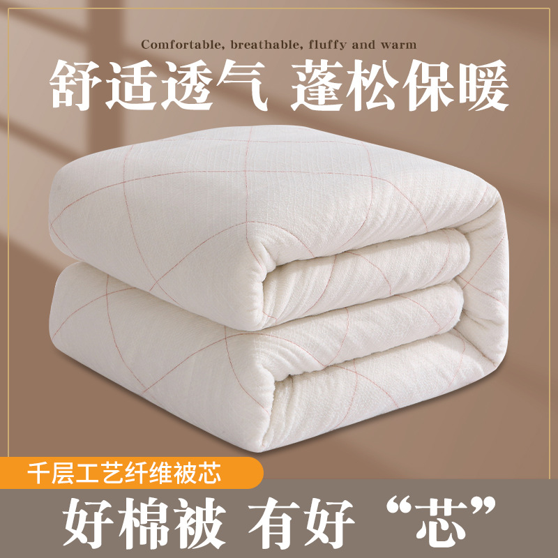 Cotton Quilt Dormitory Thickened Winter Quilt Cotton Wool Mattress Quilt Single Four Seasons Spring and Autumn Quilt Core Wholesale