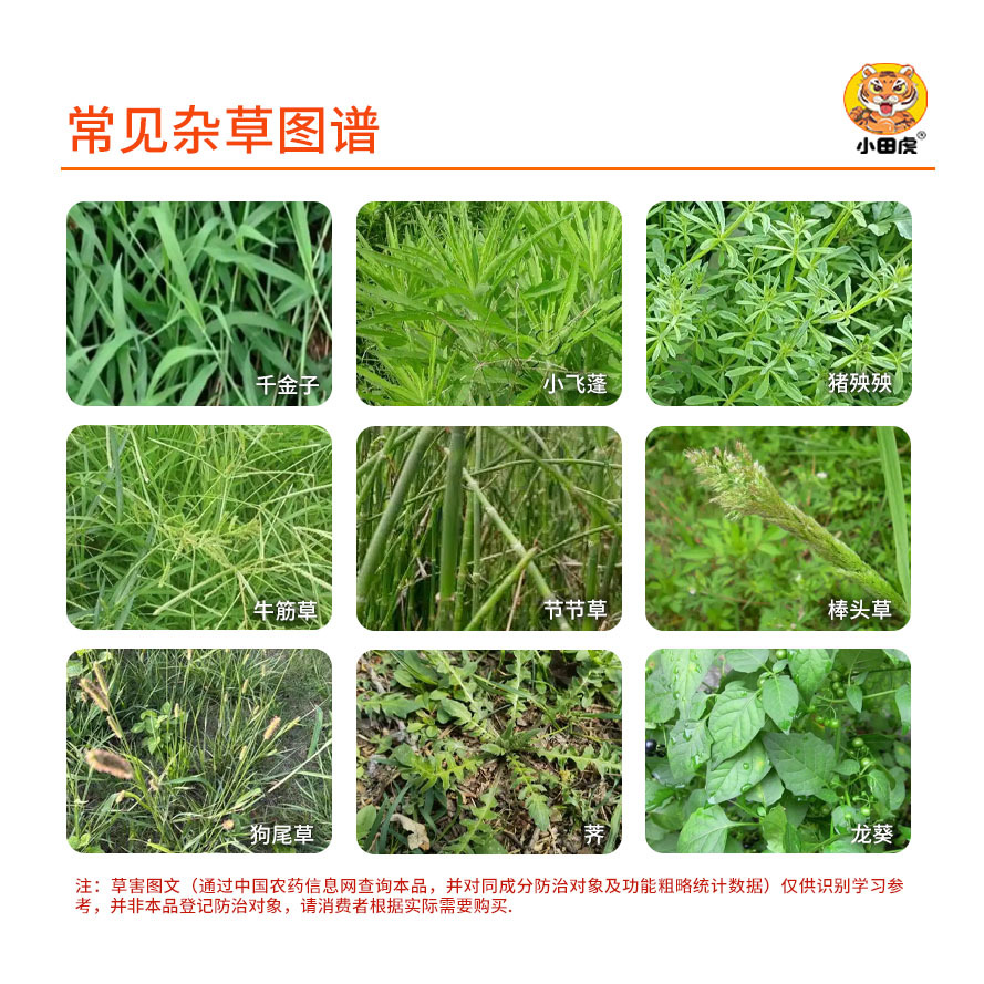 Oda Tiger 10% Glyphosate Herbicide for Orchard Weeding and Wasteland Control