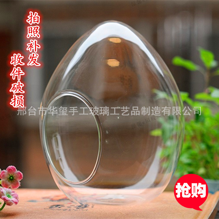 Micro-Landscape Ecological Bottle Egg-Shaped Succulent Plant Vase Moss Landscaping Bottle DIY Creative Ornaments Manufacturer Wholesale