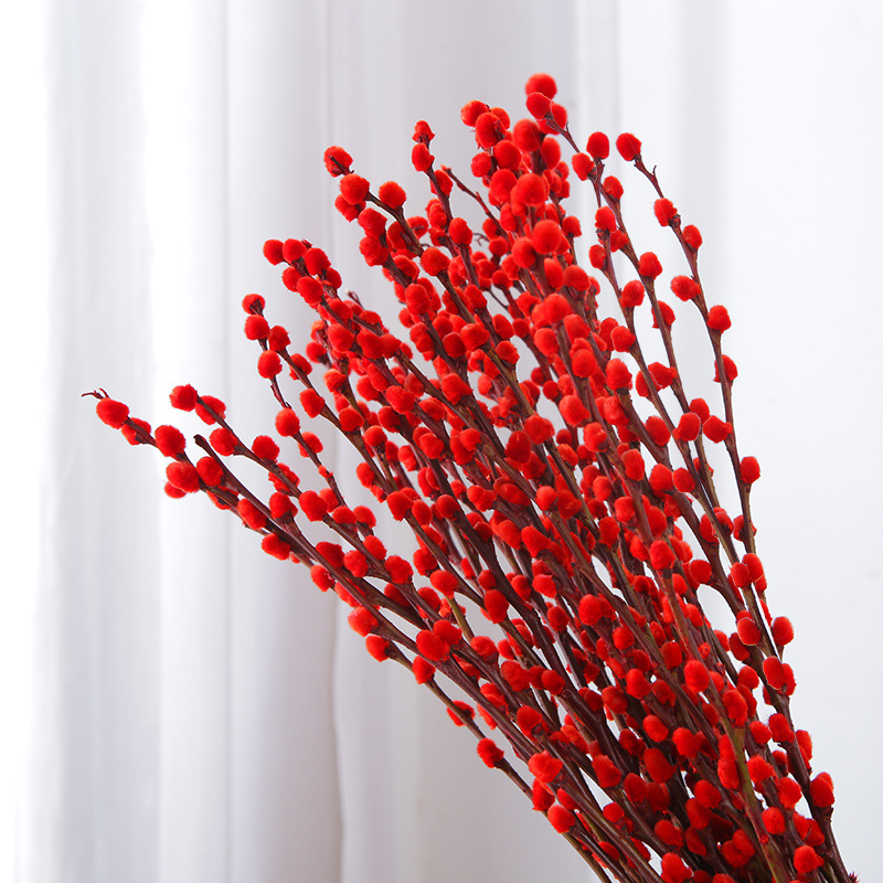 Silver Willow Real Flowers, Fresh Branches, Living Room Dried Flower Ornaments, Red New Year's Eve Florals, Hydroponic Plants, Indoor Dry Branches, Red Willow