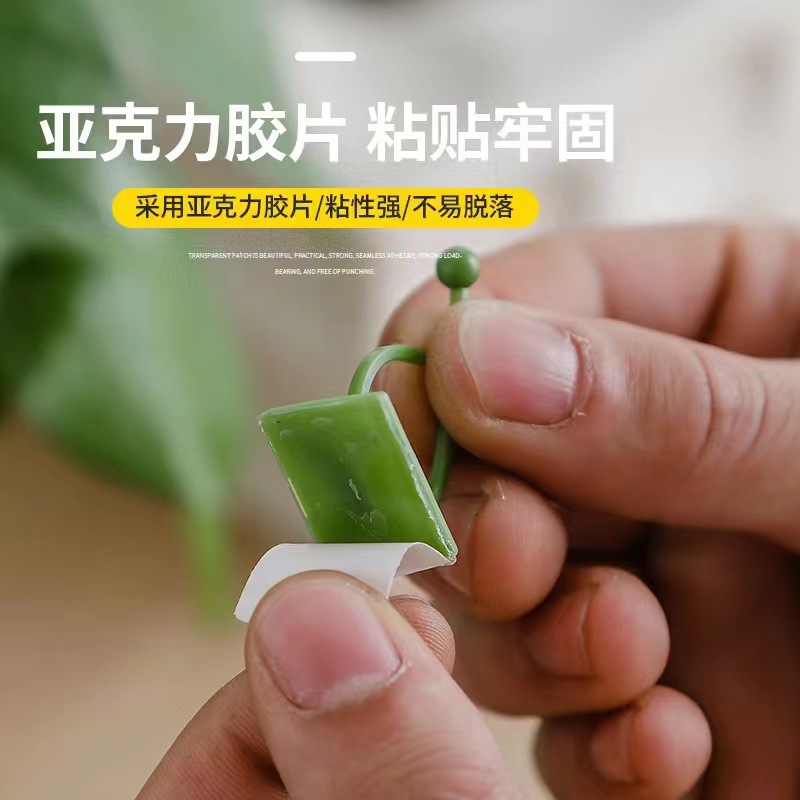 Vine Green Plant Household Traceless Pothos Holder Nail-Free Climbing Wall Beautiful Storage Self-Adhesive Hook Cable Management