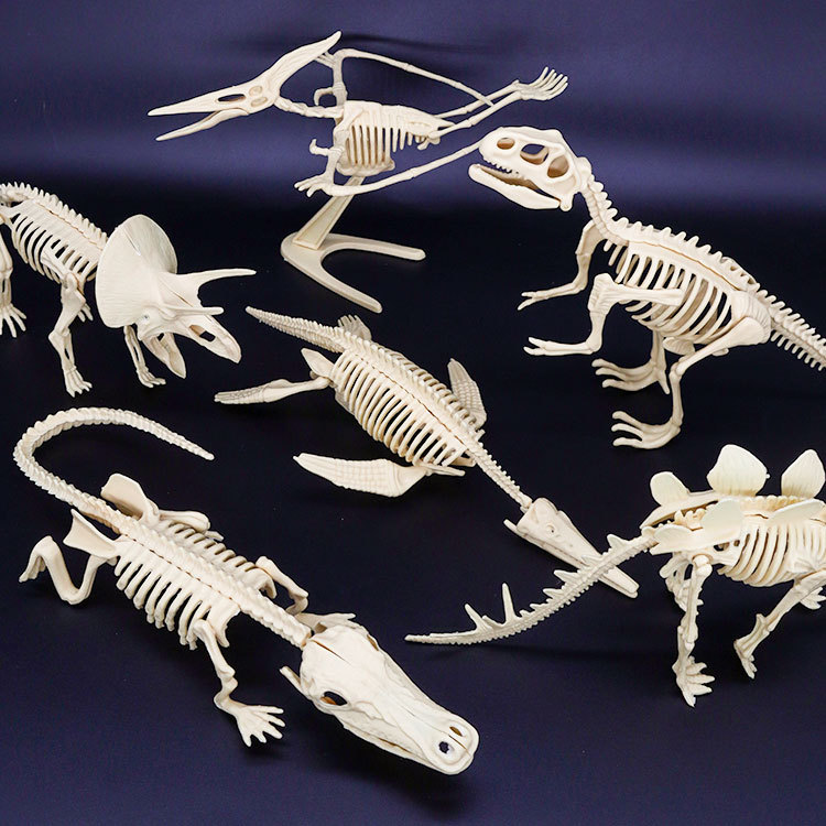 Игрушки для археологических раскопок Симуляция скелета динозавра Статическая модель Орнаменты Ручная работа для детей Образовательные игрушки Сокровища