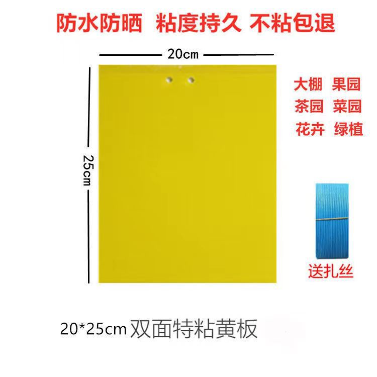 Cross-Border Amazon Insect Trap Board Manufacturer Wholesale Double-Sided Yellow Board Blue Board Greenhouse Special Insect Trap Board Strong