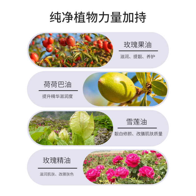 Rose Vcip Essence Oil Snow Lotus Glowing Facial Translucent Moisturizing Fish Tail Racket Type Original Liquid Disposable Capsule with Oil