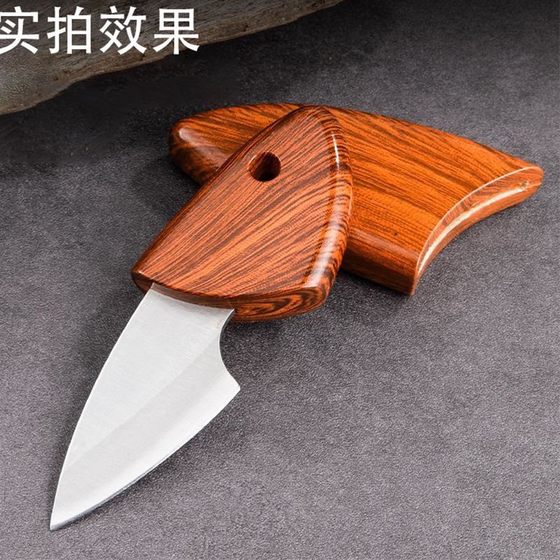 Factory Internet celebrity outdoor small fat fish mini knife fruit meat cutting high hardness thick sharp camping portable knife