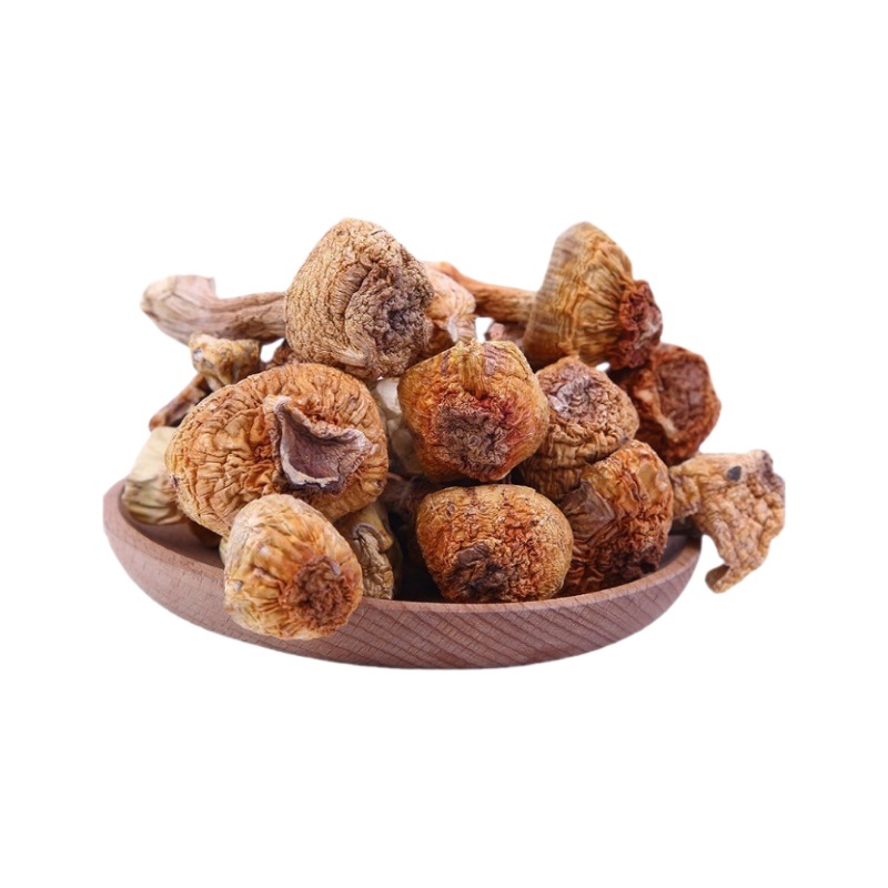 Yunnan specialty Tricholoma matsutake primary supply wholesale Brazil mushroom edible Agaricus blazei origin direct sales large favorably