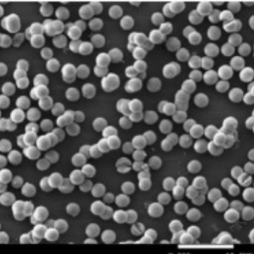 Прямые поставки порошка оксида магния в виде сферических частиц с горячим распылением