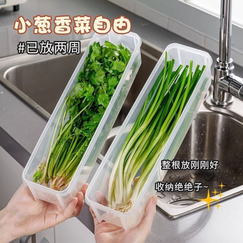 Coriander and Green Onion Storage Box Refrigerator Preservation Box Coriander Whole Storage Artifact Noodles Eggs Food Preparation Preservation Seal
